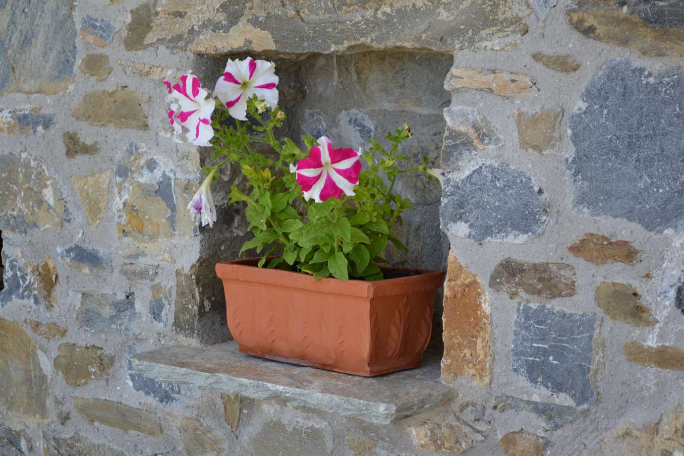 villa-danai-photo (11)