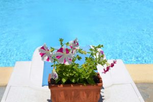 villa-danai-photo (20)