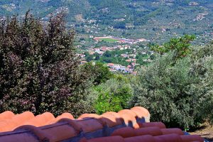 afroditi_new_01 (14)